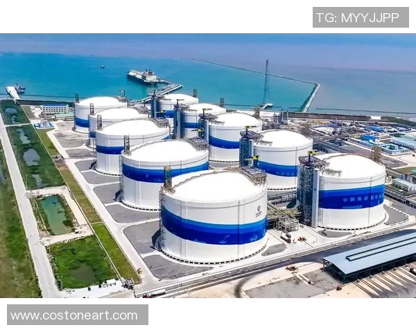 DOTA2巨献：深入解析LNG技术背后的创新与应用探索